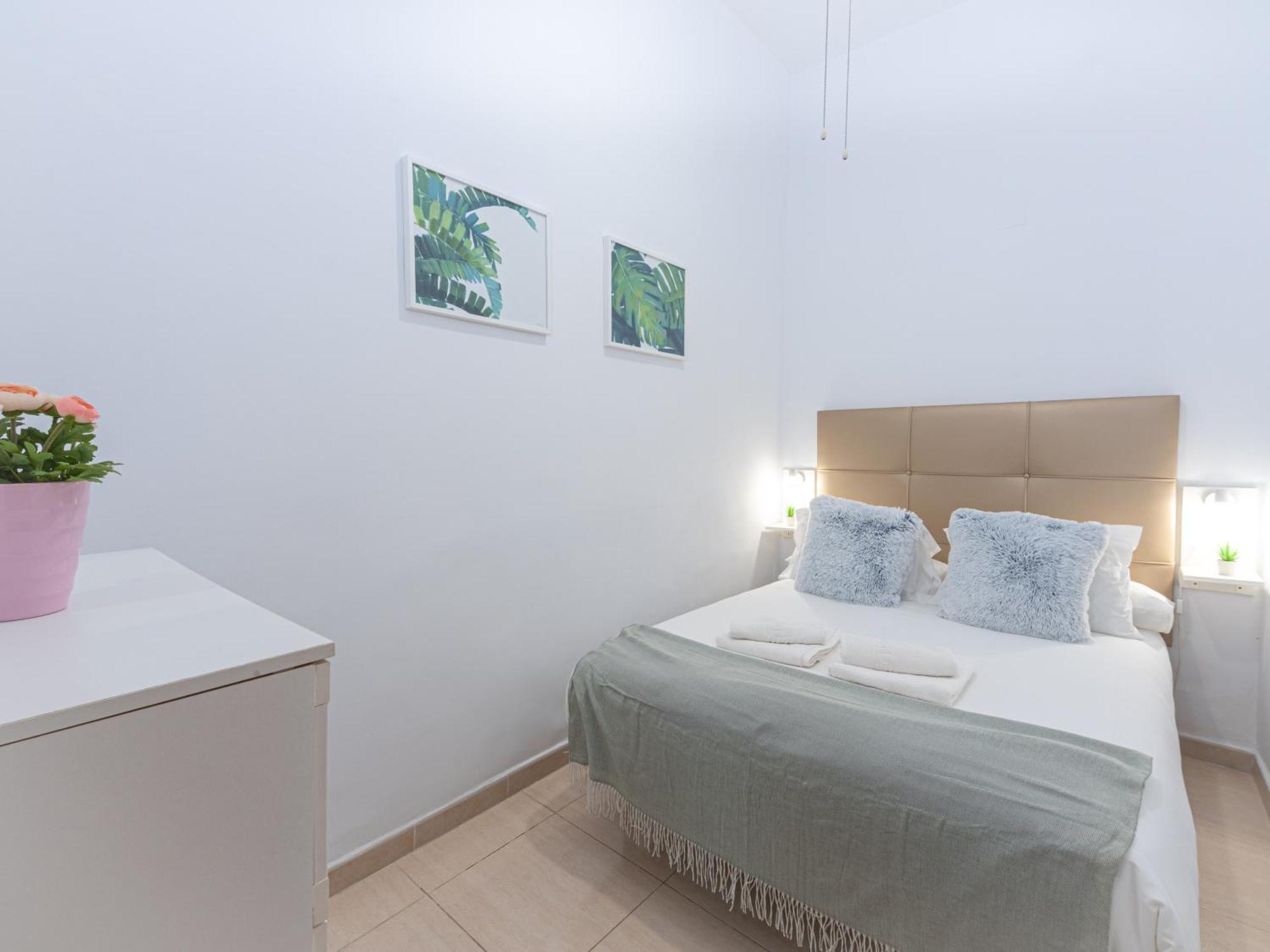 Livemalaga Gomez Pallete Málaga